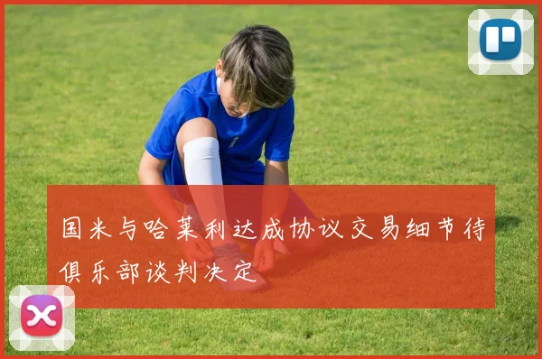 国米与哈莱利达成协议交易细节待俱乐部谈判决定