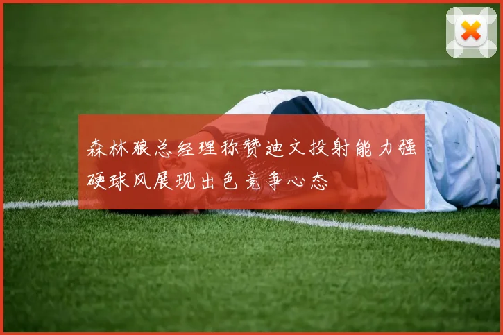 森林狼总经理称赞迪文投射能力强硬球风展现出色竞争心态